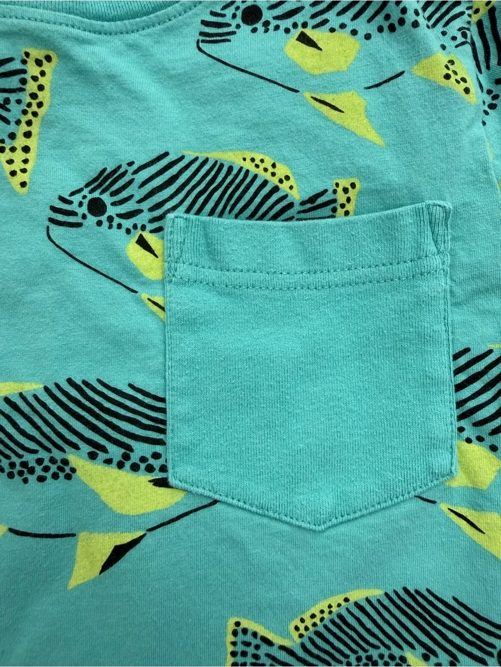 Kids Tony Hawk Black Shorts and Tea Teal Fish Pocket Tee